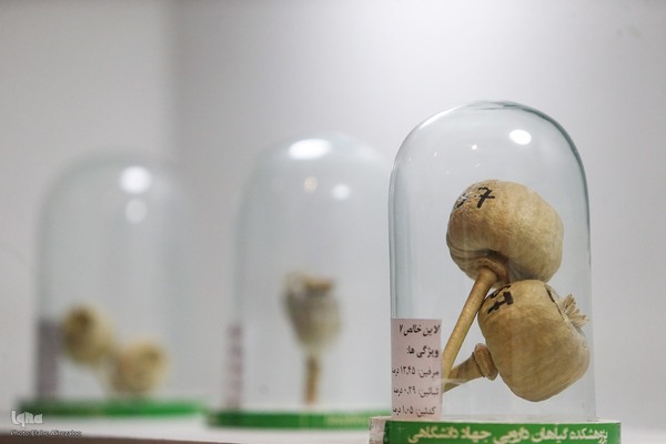 روز دوم نمایشگاه دستاوردهای علمی و فناورانه جهاددانشگاهی