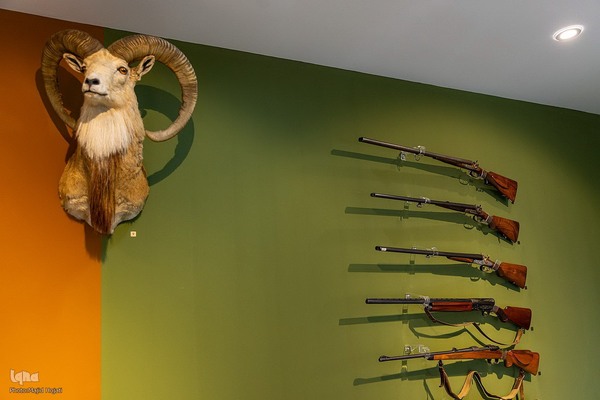 پردیس موزه ایی رامسر