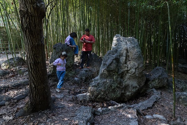 پردیس موزه ایی رامسر