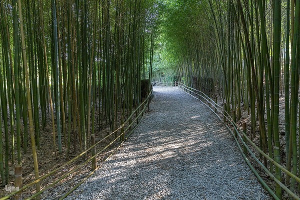 پردیس موزه ایی رامسر