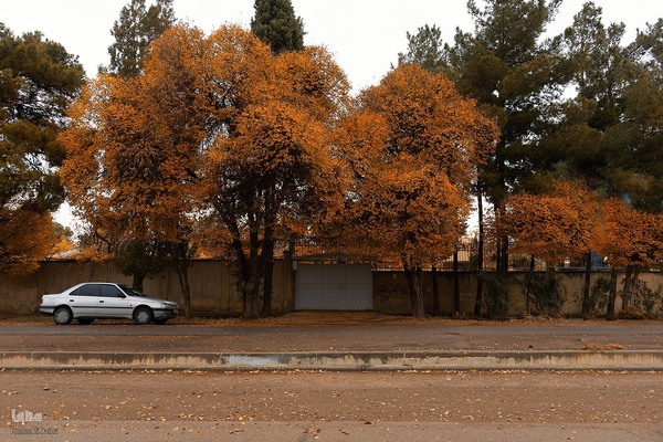 بارش باران پاییزی