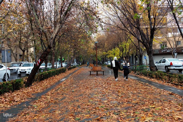 بارش باران پاییزی