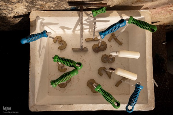 دامداری تلیسه نمونه تولید شیر ، دامداری تلیسه‌ نمونه خودکفایی در تولید شیر با تلیسه نمونه