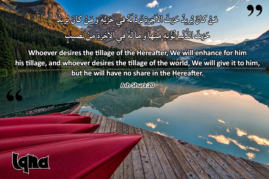 Versets pour la vie : ce monde pour l'au-delà