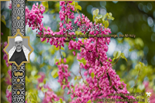 Sourate Al-Hashr par Metwaly Abdel Aal